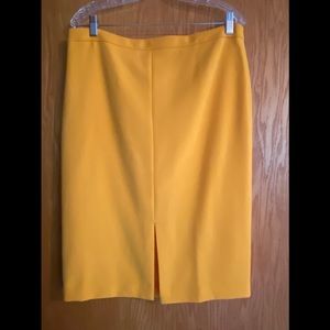 Women’s lined skirt